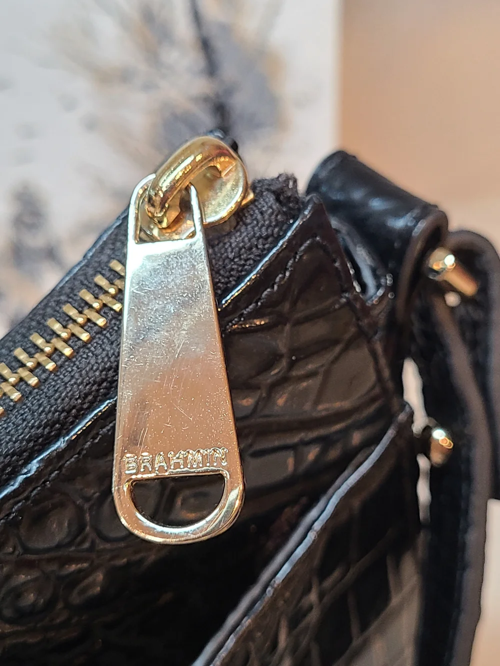 Brahmin black shayna